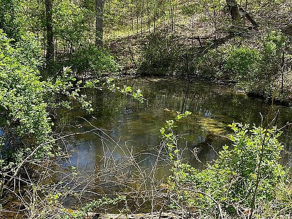 5th image of 314 County Road 310b