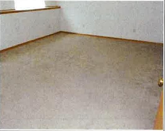 3rd image of 930 Reed St