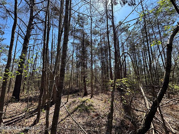 4th image of 0 N Circle Rd