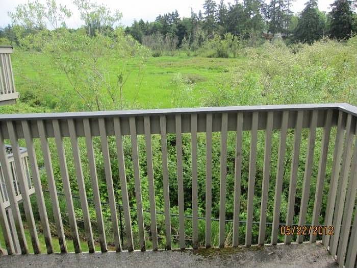 wetlands