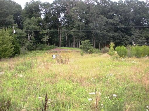 5th image of 968 Jackson Dr