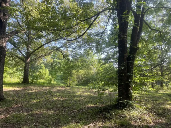 0 N County Road 100, Walnut, MS 38683