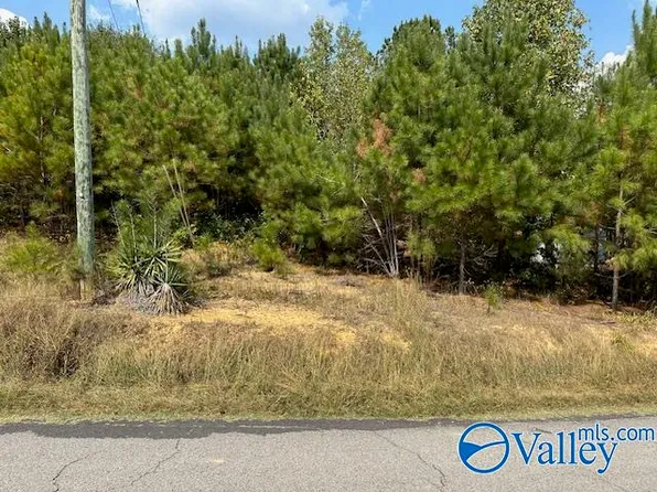 10262 Fairview Cove Rd, Altoona, AL 35952