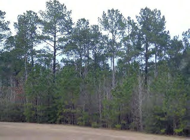 1st image of 585 Highway