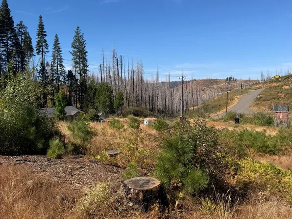5124 Golden Aspen Dr, Grizzly Flats, CA 95636