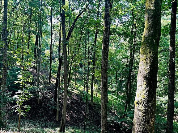 4th image of Halls Mill Rd