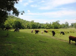 804 N Birch St, Mill Spring, MO 63952