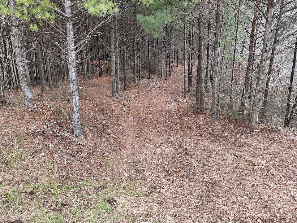 1st image of 2932 Old Hohenwald Rd Lot 76