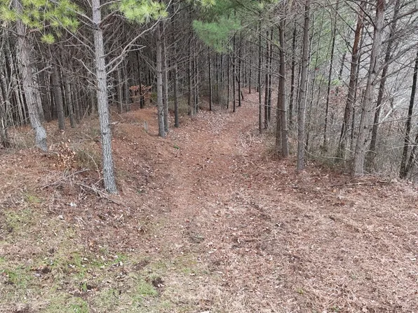 2932 Old Hohenwald Rd Lot 76, Linden, TN 37096