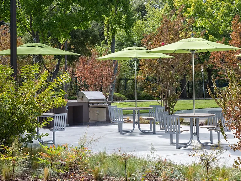 Barbecue grills and picnic areas