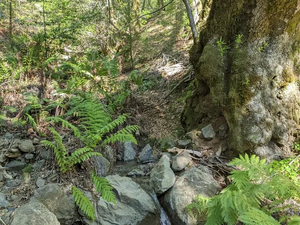 28001 Fish Rock Road, Yorkville, CA 95494