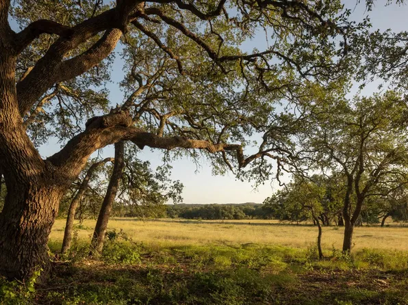 2427 Prochnow Road, Dripping Springs, TX 78620