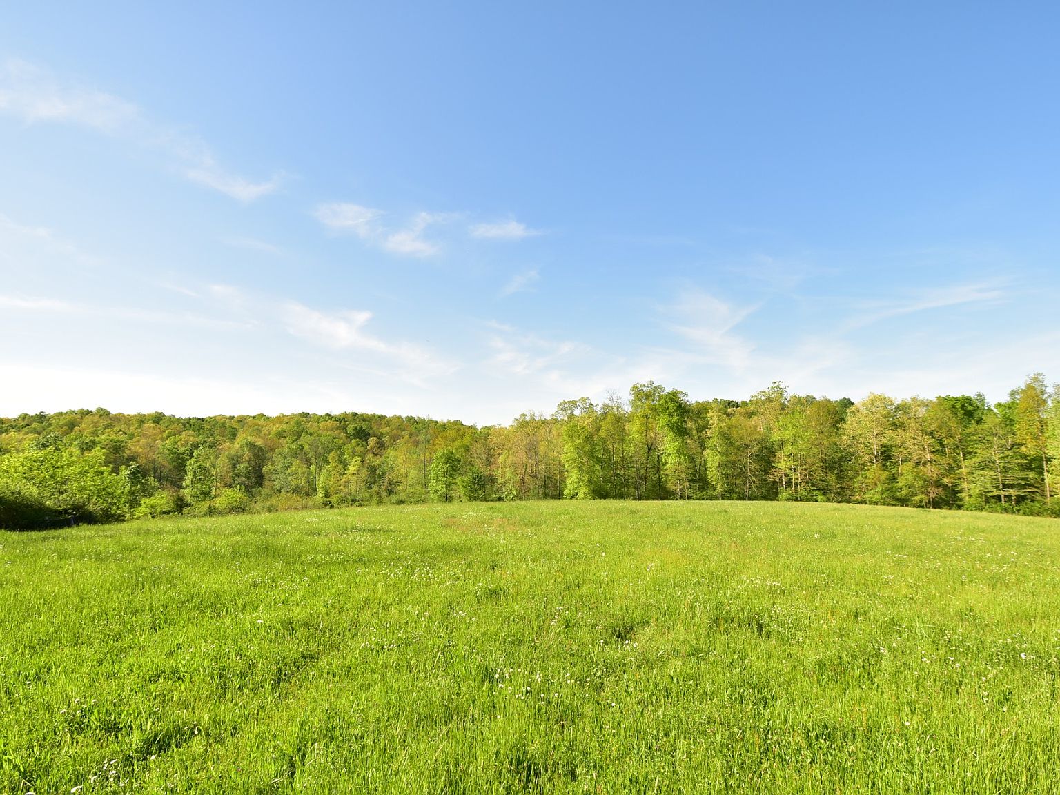 2 Bassham Rd, Five Points, TN 38457 MLS 2646415 Zillow