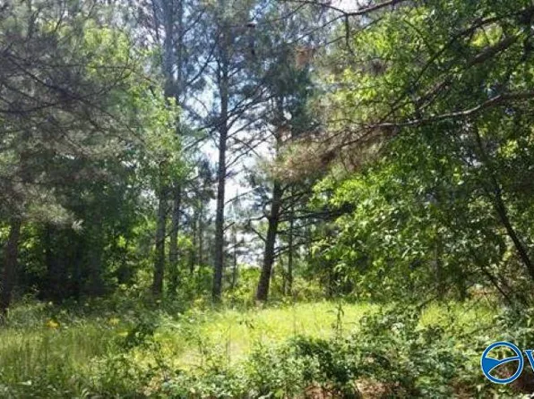 7 County Road 467, Cedar Bluff, AL 35959