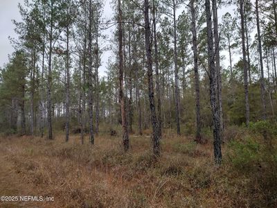 1757 WHIPPOORWILL Lane, Glen Saint Mary, FL, 32040