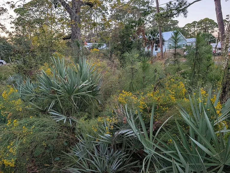 244 Prado St — Photo 15