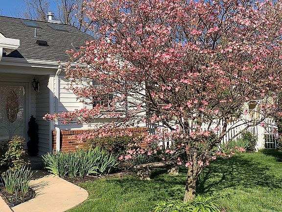 Spring photo of front yard