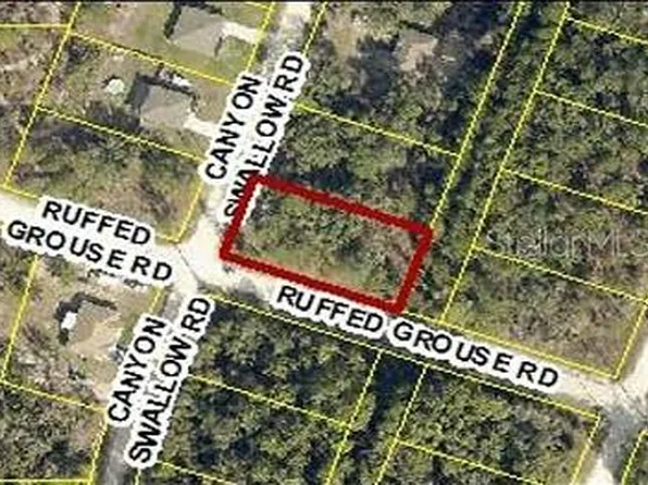 0 Canyon Swallow Rd Parcel Key 00784734 Lot 23, Brooksville, FL 34614