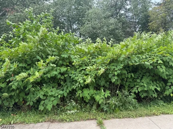 1110 Walnut St, Piscataway Twp., NJ 08854