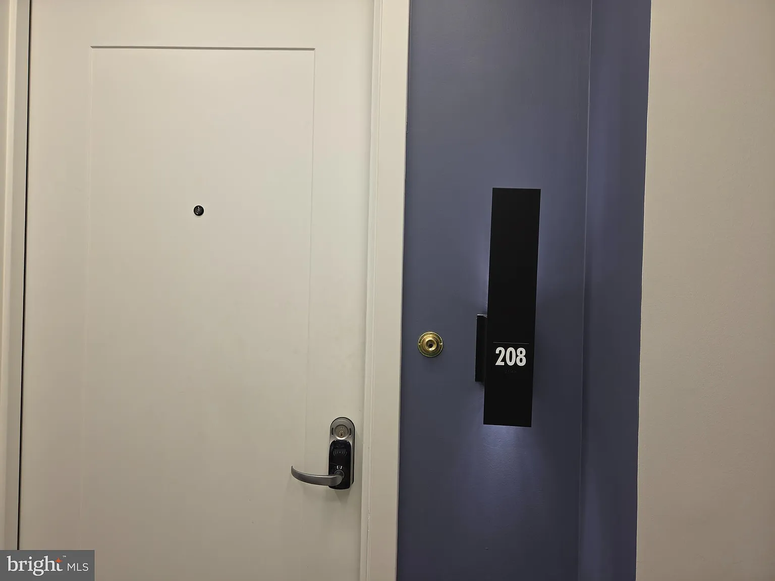 1 bed, 679 sqft, $1,800 — Photo 2