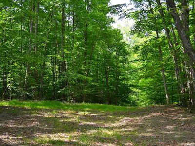 Cold Hollow Rd, Rainelle, WV, 25962