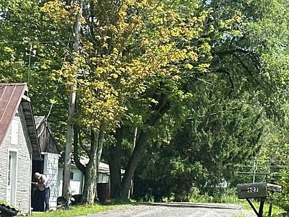 4th image of 51 Bridalpath Ln