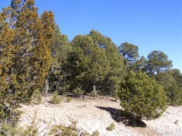 28 Canoncito Vista Rd, Tijeras, NM 87059