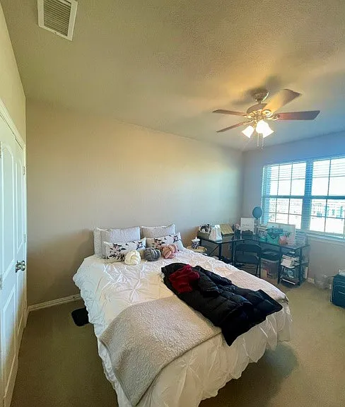 3803 Cascade Sky Dr — Photo 37