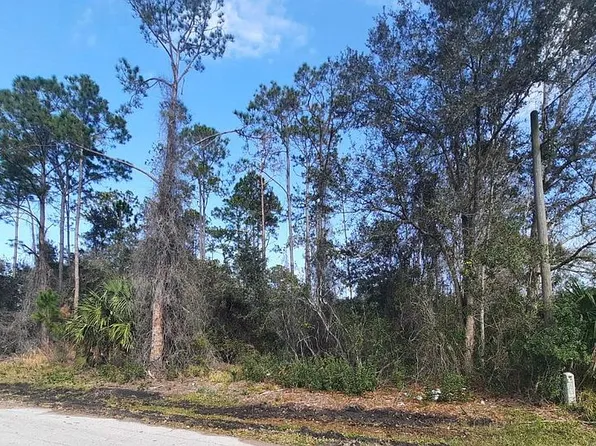 22 Zinnia Trl, Palm Coast, FL 32164