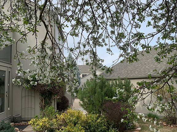 part of garden