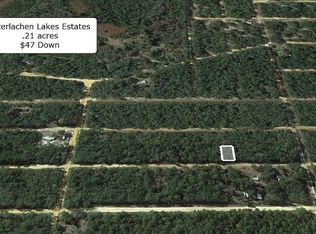 925 Neilsen Ave, Interlachen, FL 32148
