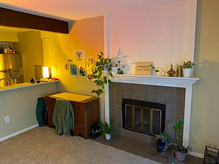 20 S Boulder Cir #2103 — Photo 3
