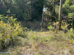 3125 Neil Collins Rd, Raymond, MS 39154