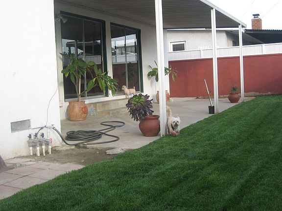Backyard