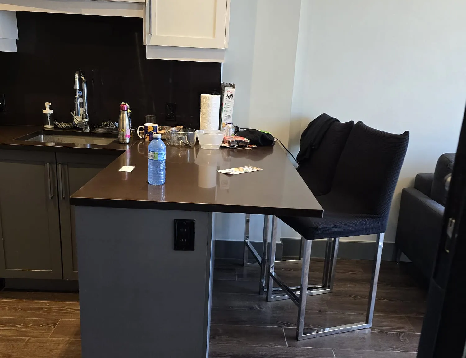 2 bed, 575 sqft, $2,350 — Photo 3