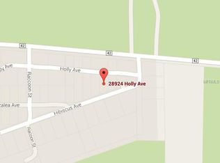 28920 Hibiscus Ave, Paisley, FL 32767