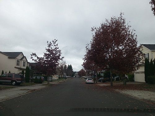 2nd image of 711 NW Harvest Moon Dr