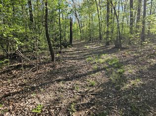 Seven Oaks Ln, Noel, MO 64854
