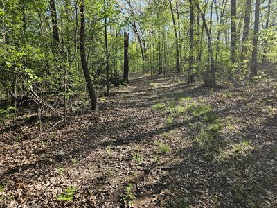 472-82 Ac Seven Oaks Lane, Noel, MO, 64854