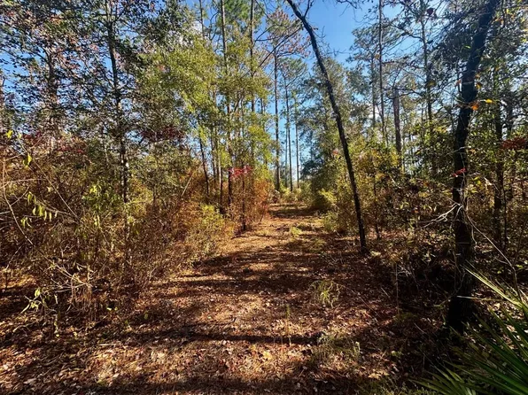 Vacant Ne Timber River Loop, Lee, FL 32059
