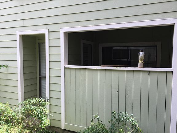 4th image of 6602 Harbor Town Dr APT 105