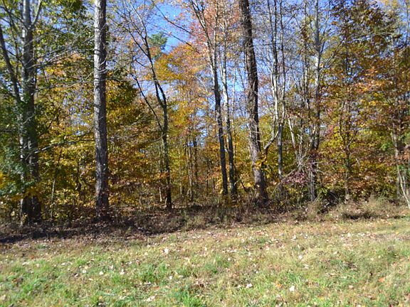 4th image of 0 Whitson Hollow Rd