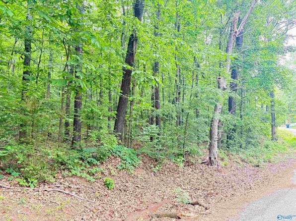 72 Holiday Shores Rd, Scottsboro, AL 35769