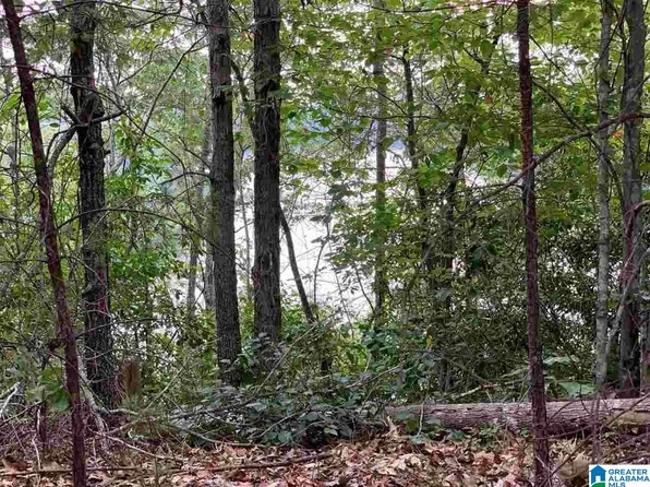 1001 Old Patton Ferry Rd #0, Adger, AL 35006