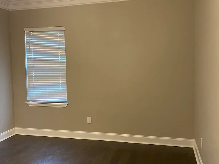 370 Forest Hill Irene Rd — Photo 34