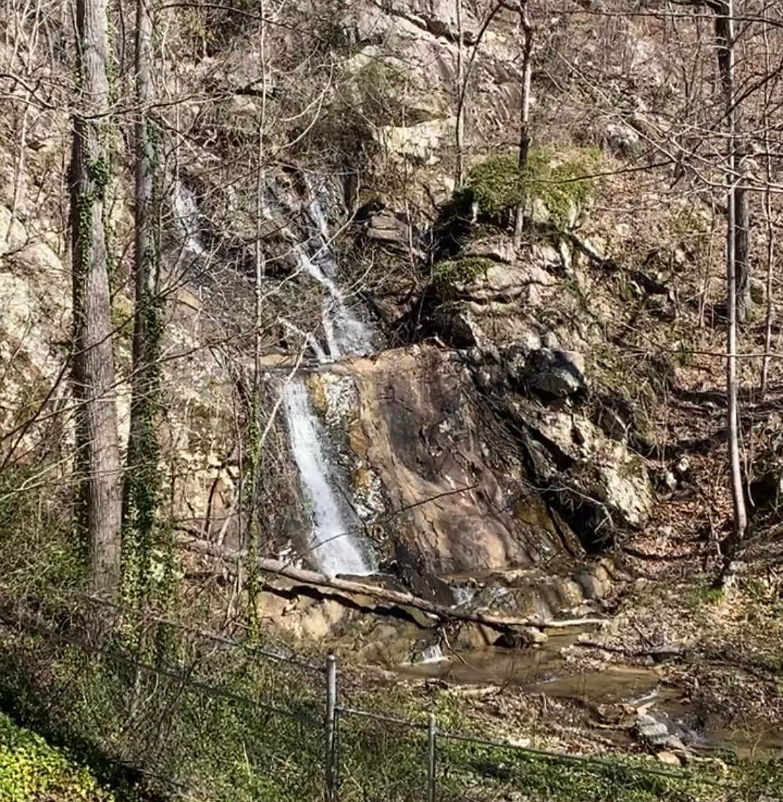 4791 Highway 11, Pelham, AL 35124 Zillow