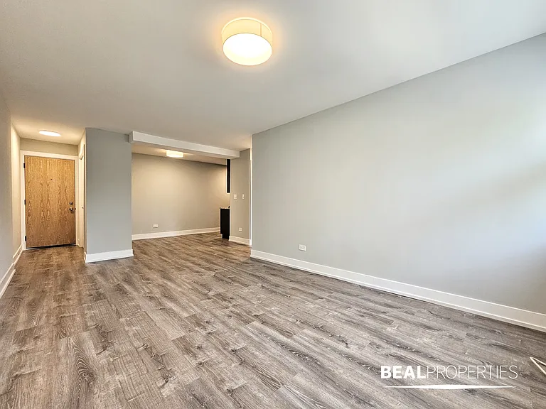445 W Barry — Photo 111