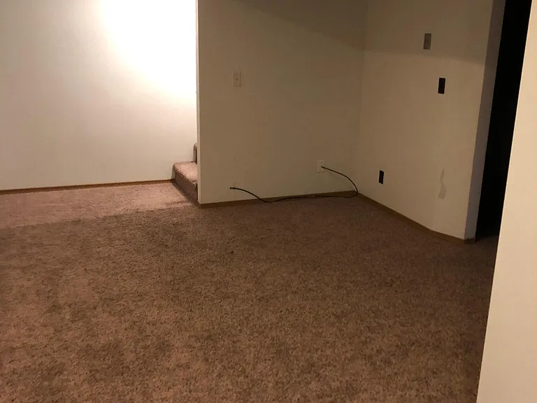 lower family room