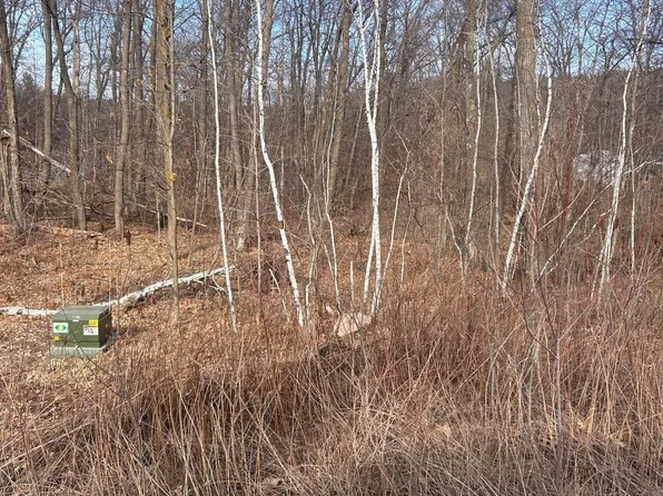 Lake Camile Rd, Cushing, MN 56443