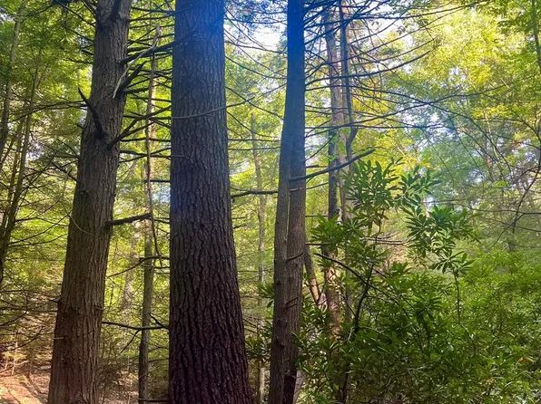 22-34 & #33, Beech Creek, PA 16822